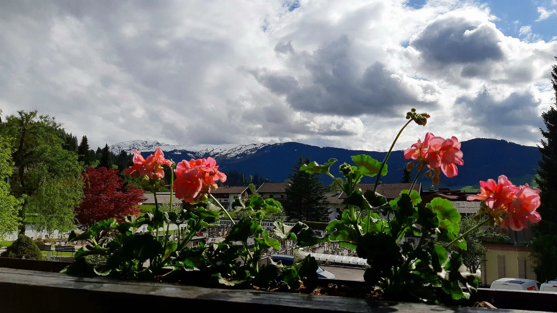 Blick von der Terrasse auf Blumen und Berge im Hintergrund